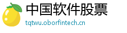 中国软件股票